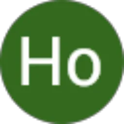 Review From Ho Mei Hua