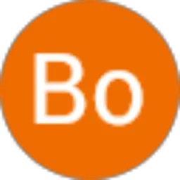 Review From Bo Bi