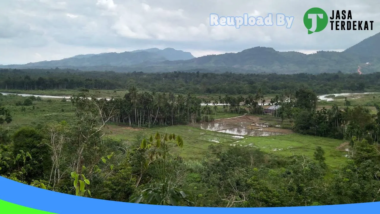 Gambar Kapoor Cell di Lima Puluh Kota, Sumatera Barat ke 2