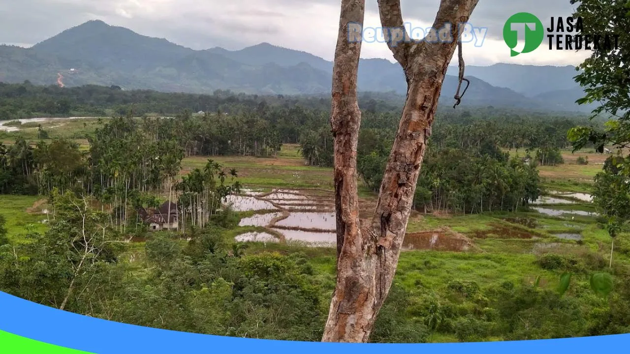 Gambar Kapoor Cell di Lima Puluh Kota, Sumatera Barat ke 1