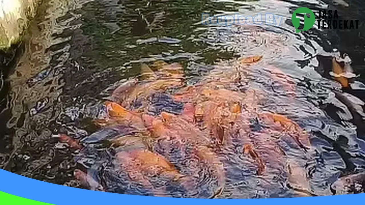 Gambar Alan Computer di Banyuwangi, Jawa Timur ke 4