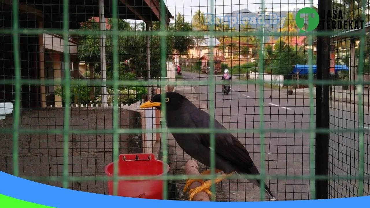 Gambar Silfer Service di Tanah Datar, Sumatera Barat ke 4