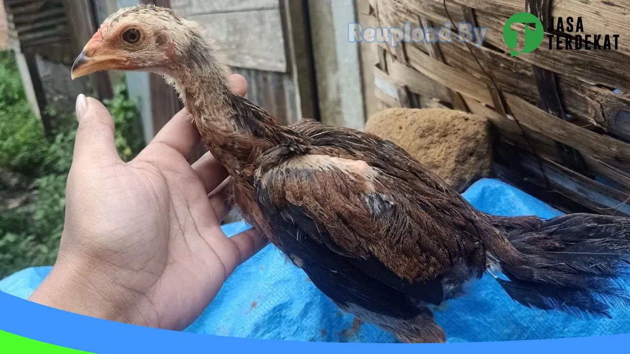 Gambar Servis handphone di Lima Puluh Kota, Sumatera Barat ke 3