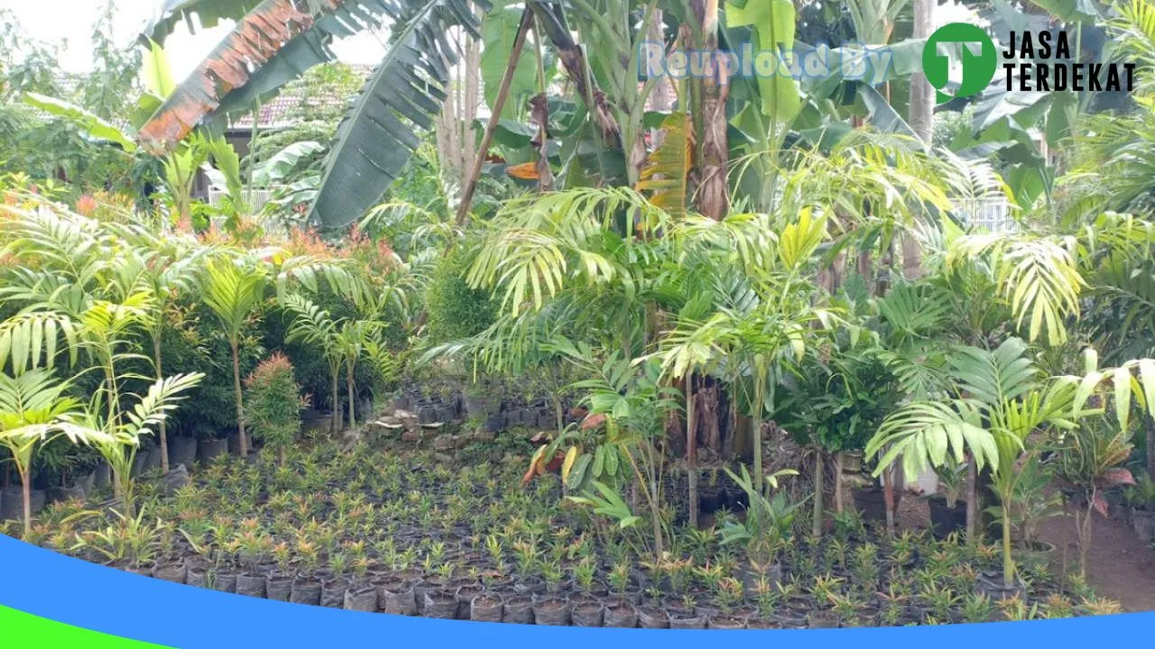 Gambar Kios Bunga Puri Datuk Banyuwangi di Banyuwangi, Jawa Timur ke 1