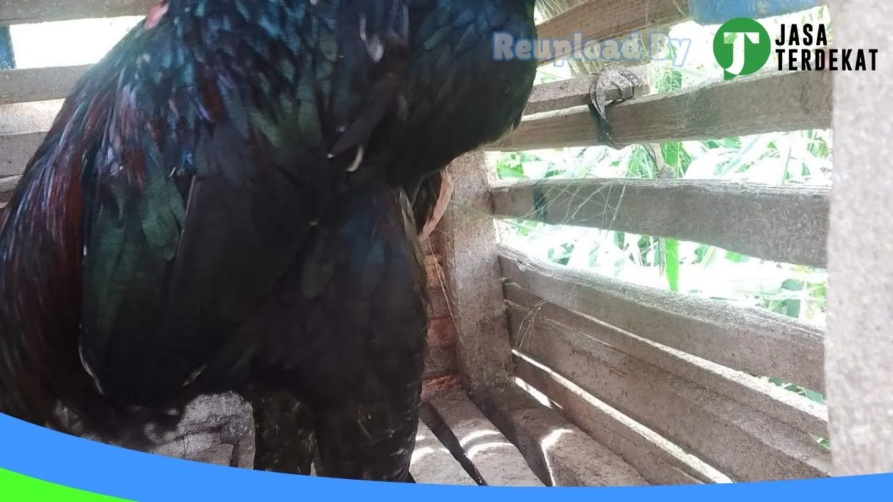 Gambar Servis handphone di Lima Puluh Kota, Sumatera Barat ke 4