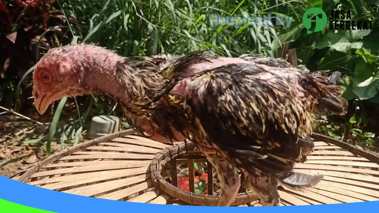 Gambar Servis handphone di Lima Puluh Kota, Sumatera Barat ke 1