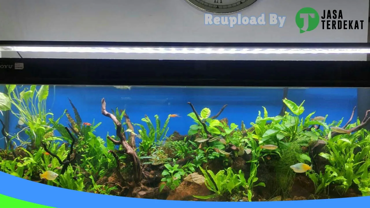 Gambar Servis lampu aquarium Bandung di Bandung Barat, Jawa Barat ke 5
