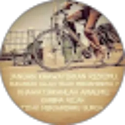 Review From Hasbi kamila Nafeeza
