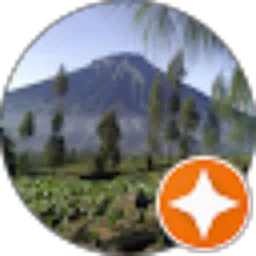 Review From Fida Mufiedah