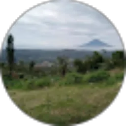 Review From Ujang Ujang