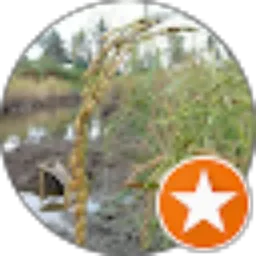 Review From Ahmad Saubari