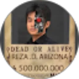Review From Reza Arizona