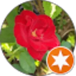 Review From Rahmad