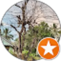 Review From ORAT ARIT