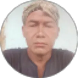 Review From Bonaroiman Marbun