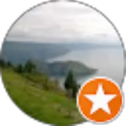 Review From Dedy Hong