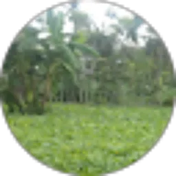 Review From Tovic Al-Asyi