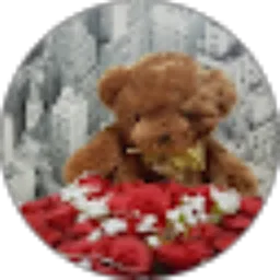 Review From Vika Vika
