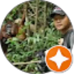 Review From Fikry Fauzy