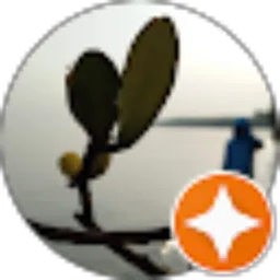 Review From sitinur aniza