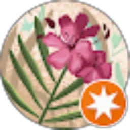 Review From D N S