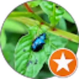 Review From Omuda omuda