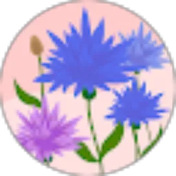Review From Sabrina H