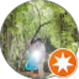 Review From Samuel Hardiman