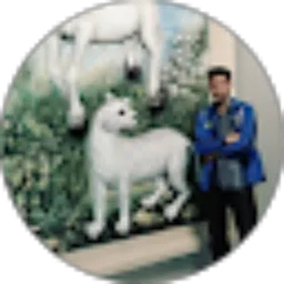 Review From gus ahmad22