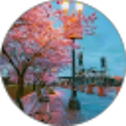 Review From Video Viral Random