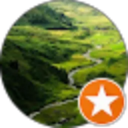 Review From Nicholas Limantara