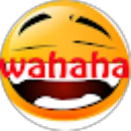 Review From wahaha !