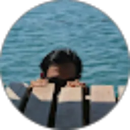 Review From real GErard092