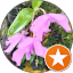 Review From onetwo ryan