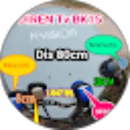 Review From DIREN Service
