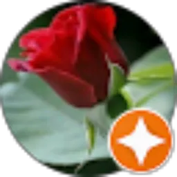 Review From Iqbal Husnoo