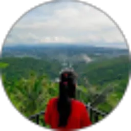 Review From Vanesia Cirila Alverina