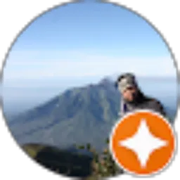 Review From Ari Fin
