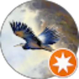 Review From BangJoe 79