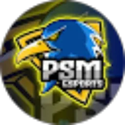 Review From halo psm