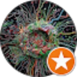 Review From tommy wondra
