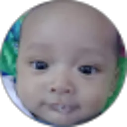 Review From bayok chusni