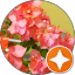 Review From Joneri Mastur