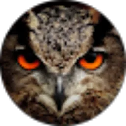 Review From KevinOwlNight