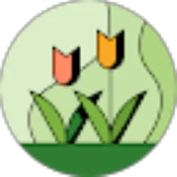Review From Solbi Ani