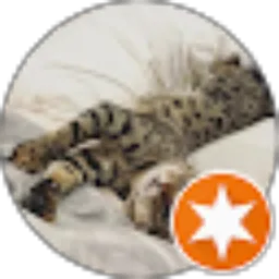 Review From lamilamyaa
