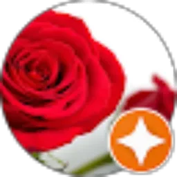 Review From Rendriana