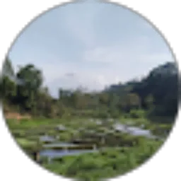 Review From Gusti Joshua Shebaot Barachel M11