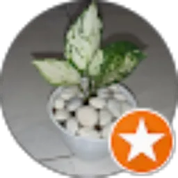 Review From CF MULTIMEDIA
