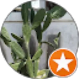 Review From Yossy Caesarianti